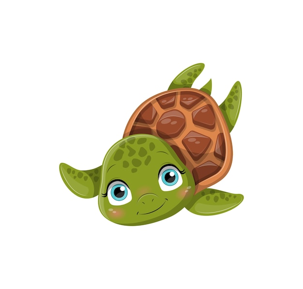 Cute turtle looking