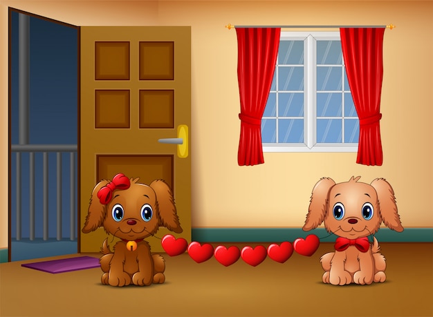 Симпатичные две собаки кусают сердце в гостиной
