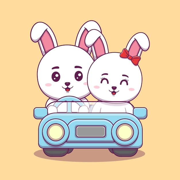 Cute Valentines day rabbit couple on car