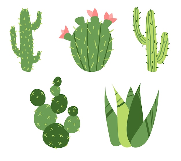 Vector cute vector  cartoon cactus set