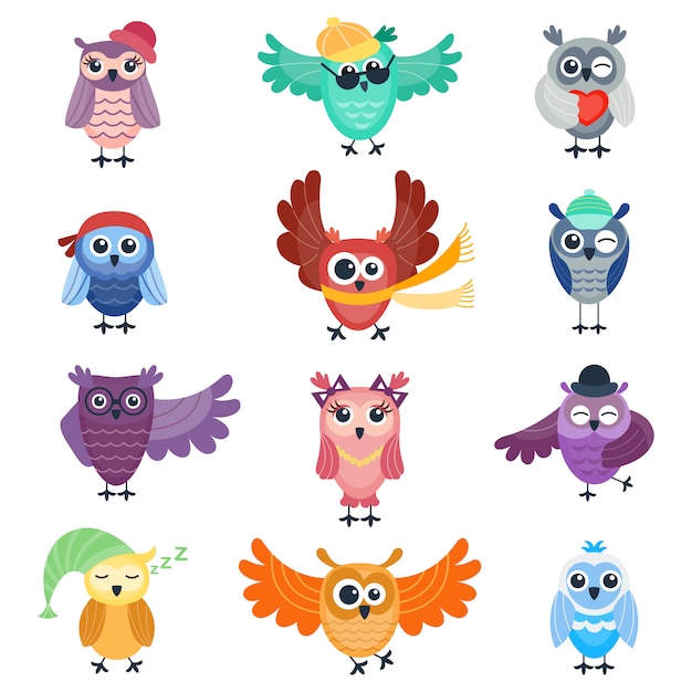 Cute vector collection of cartoon owls. Animal character cartoon owl comic funny collection