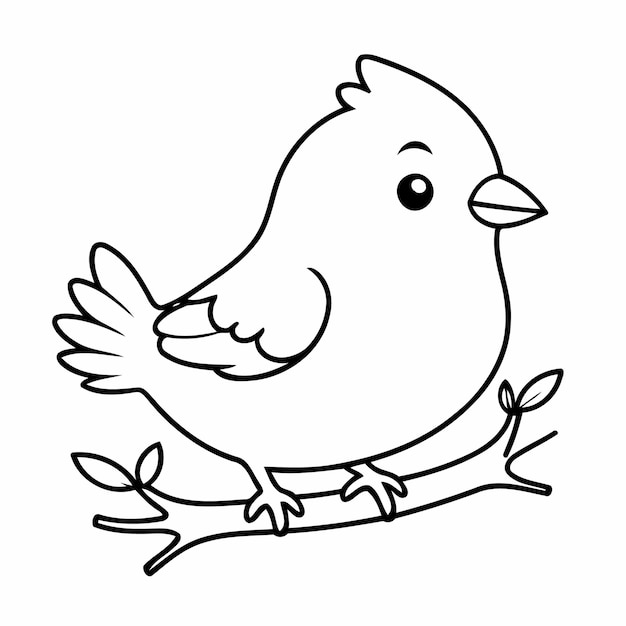 Vector cute vector illustration bird drawing for children page