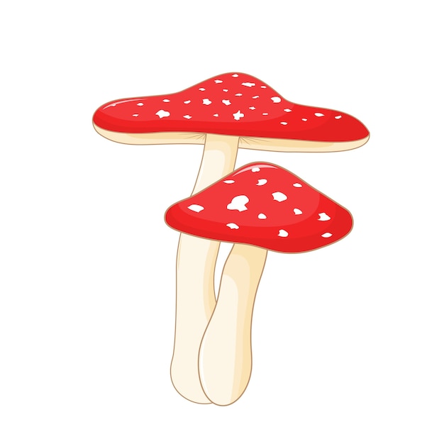 Cute vector illustration of mushroom on a white background.