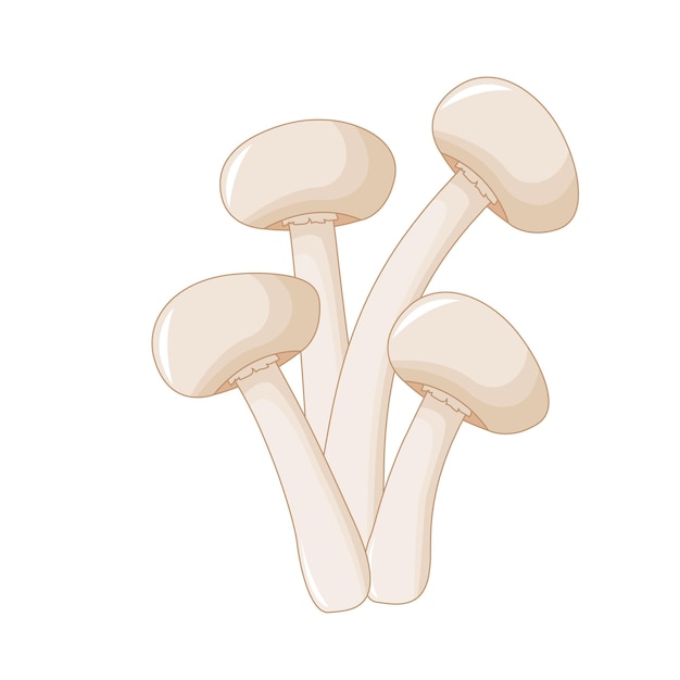 Vettore illustrazione vettoriale carino di funghi su uno sfondo bianco