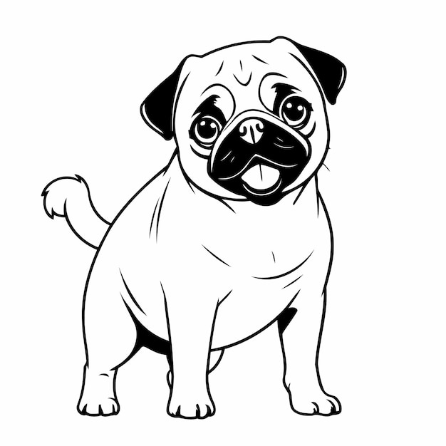 Vector cute vector illustration pug drawing for kids colouring page