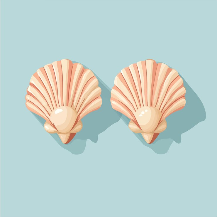 Vector cute vector illustration of seashell earrings
