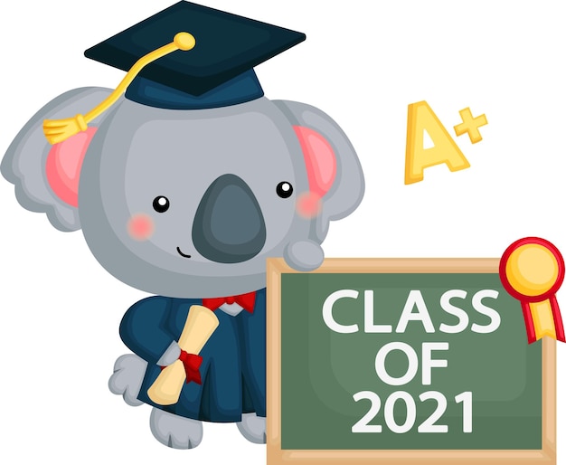 Cute vector of a koala mascot graduating