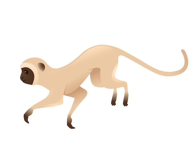cute vervet monkey jumping up beige monkey with brown face cartoon animal design flat vector illustration isolated on white background