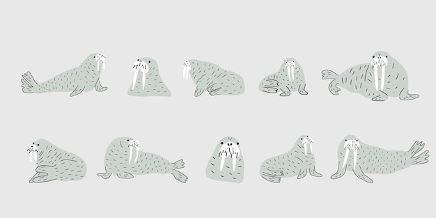 Cute walrus in Scandinavian style on a white background Sea ocean Underwater world