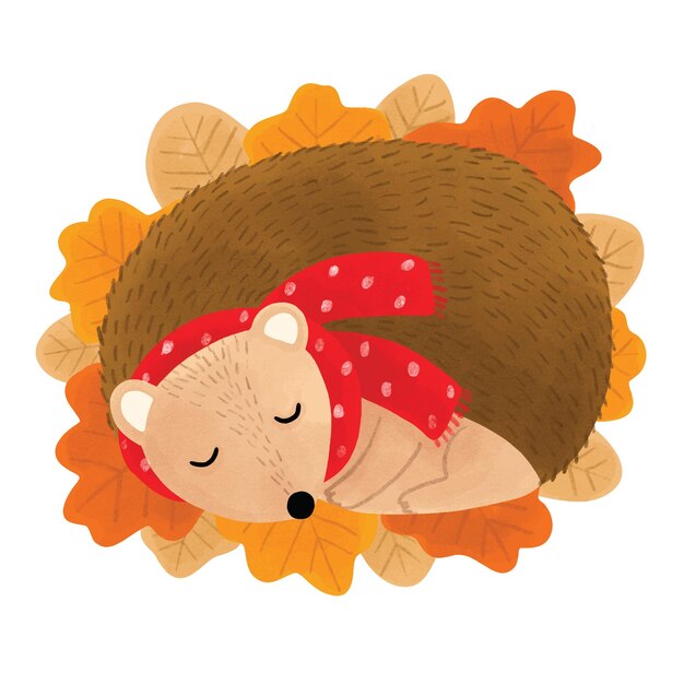 Cute watercolor hedgehog and leaves in Autumn clipart