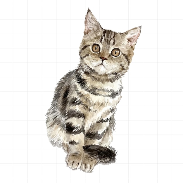 ベクトル 白い背景の可愛い水彩の子猫 手描きのイラスト