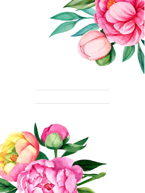 Cute watercolor peonies background