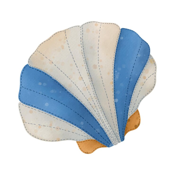 Vector cute watercolor seashell. watercolor life marine clipart.