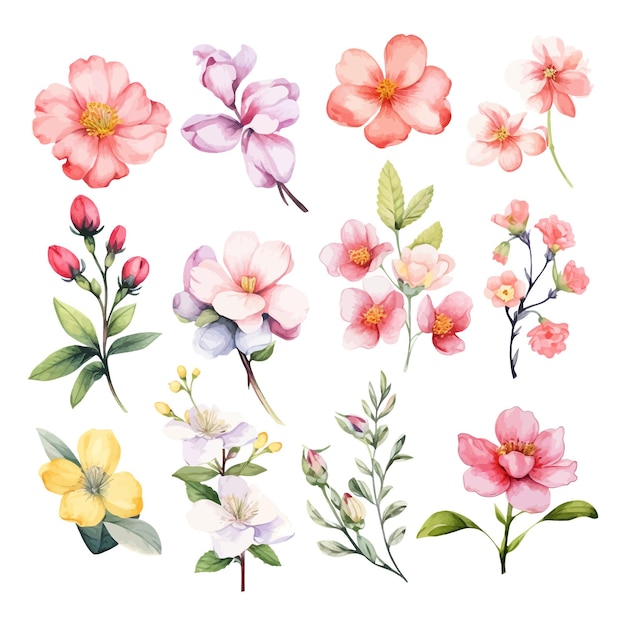 Cute Watercolor Spring Flowers Clip Art on white Background