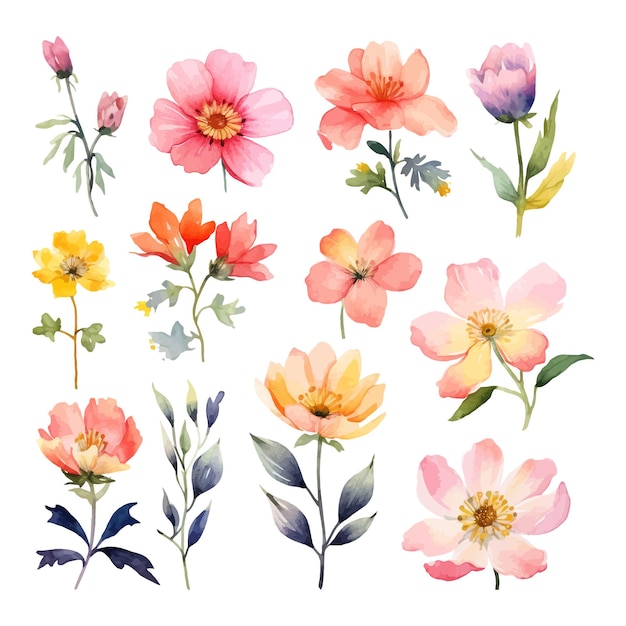 Vector cute watercolor spring flowers clip art on white background