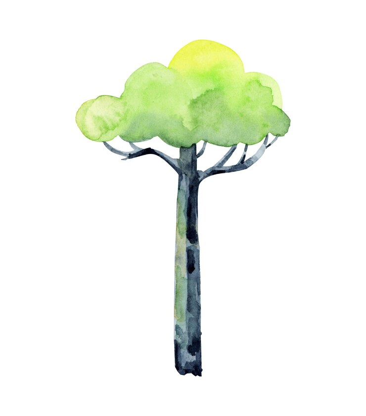 Vector a cute watercolor tree with a green cloud canopy