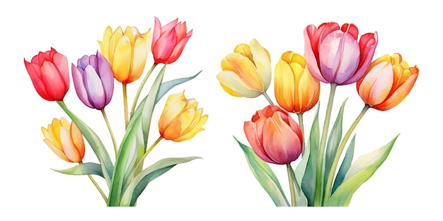 Vector cute watercolor tulips pack