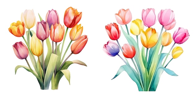 Vector cute watercolor tulips