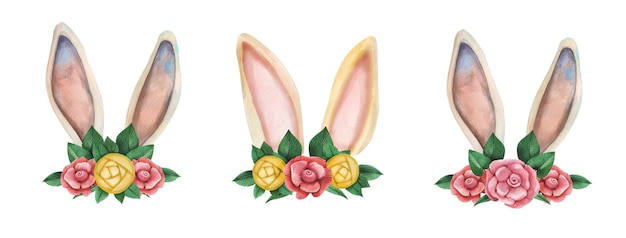 Cute watercolor vector rabbit ears