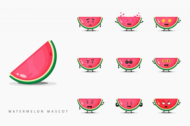 Cute watermelon mascot set