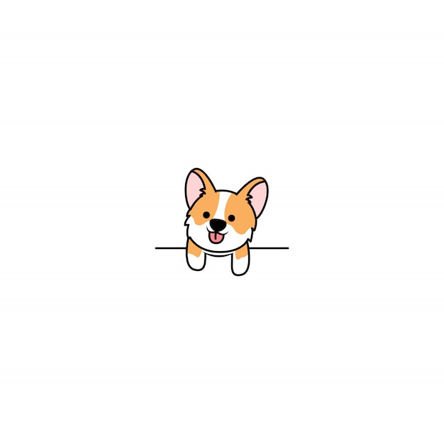 흰 벽 위에 귀여운 웨일즈 어 Corgi 개 발