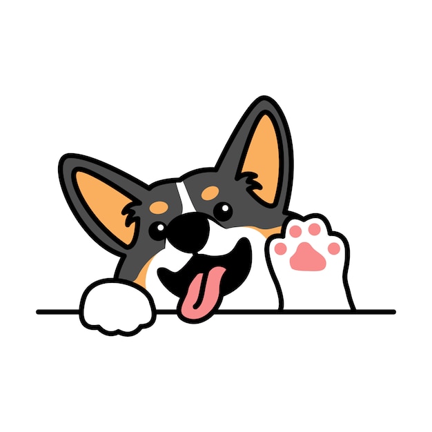 Cute welsh corgi tricolor dog waving paw