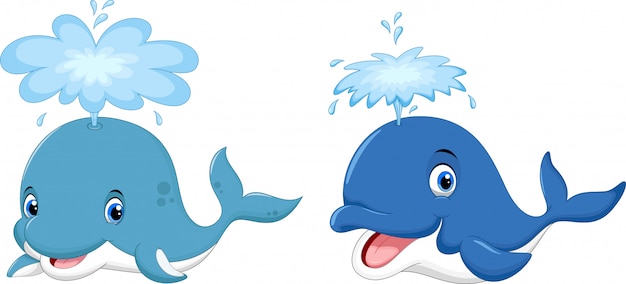 Cute whale cartoon