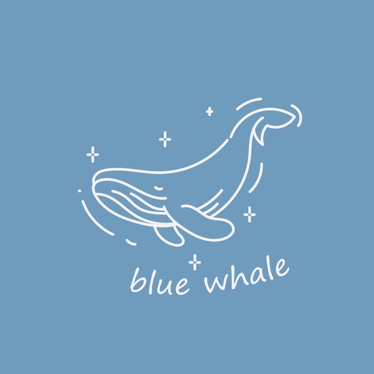Vector cute whale monoline illustration