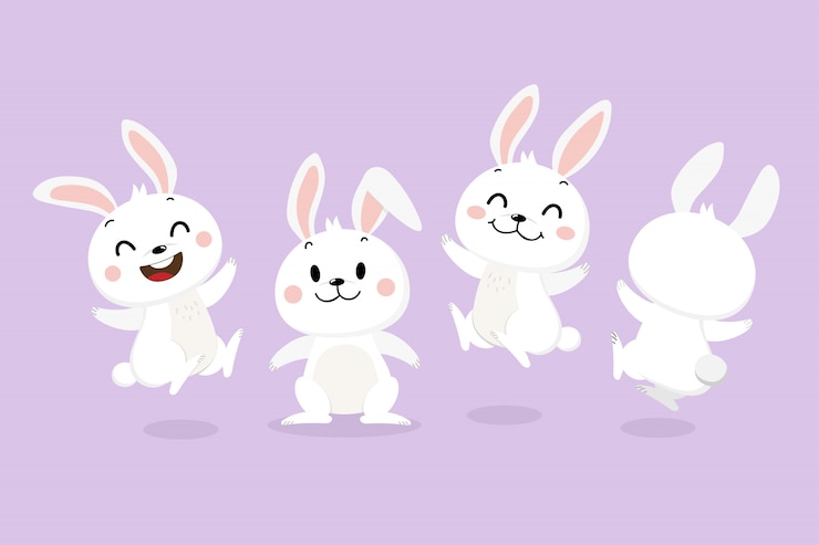 Vector cute white bunny set