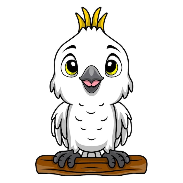 Vector cute white cockatoo cartoon on white background