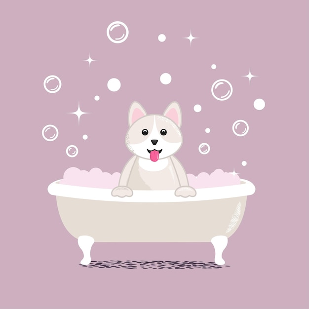 A cute white dog takes a bath