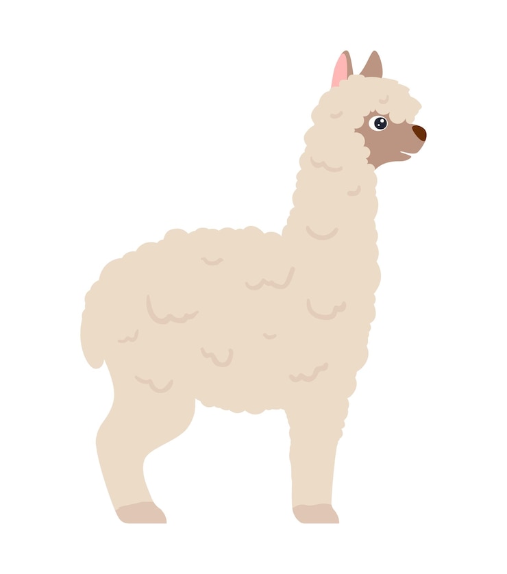 Vector cute white lama alpaca side view vector illustration