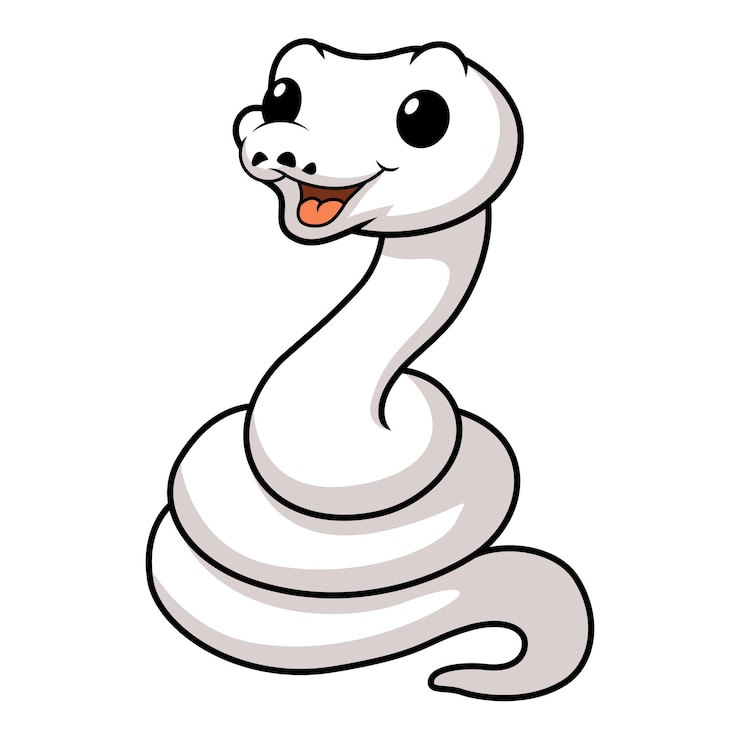 Vector cute white leucistic ball python snake cartoon