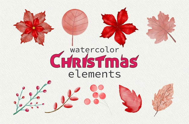 Cute winter red set with watercolor flowers, berries, poinsettia and a digital white background