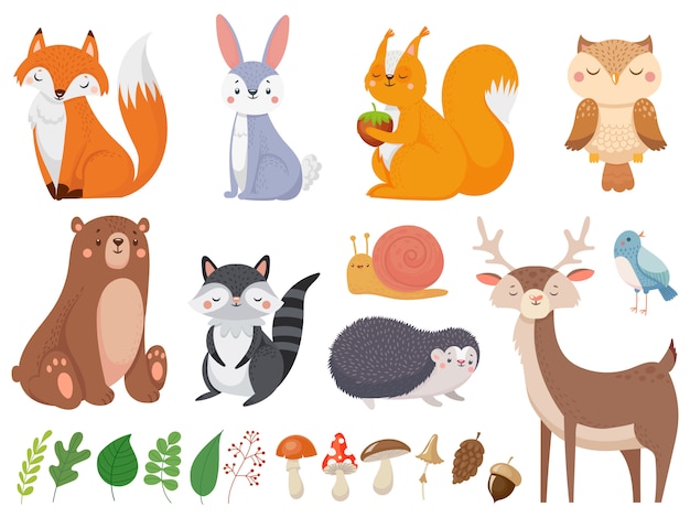 Vector cute woodland animals. wild animal, forest flora and fauna elements isolated cartoon illustration set