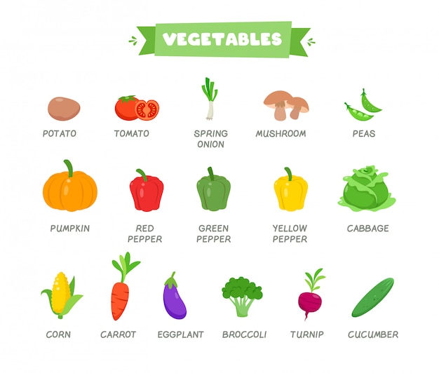 Insieme di verdure del buon cibo di vocabolario di parola sveglia