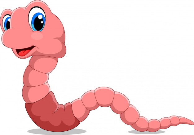 Cute worm cartoon