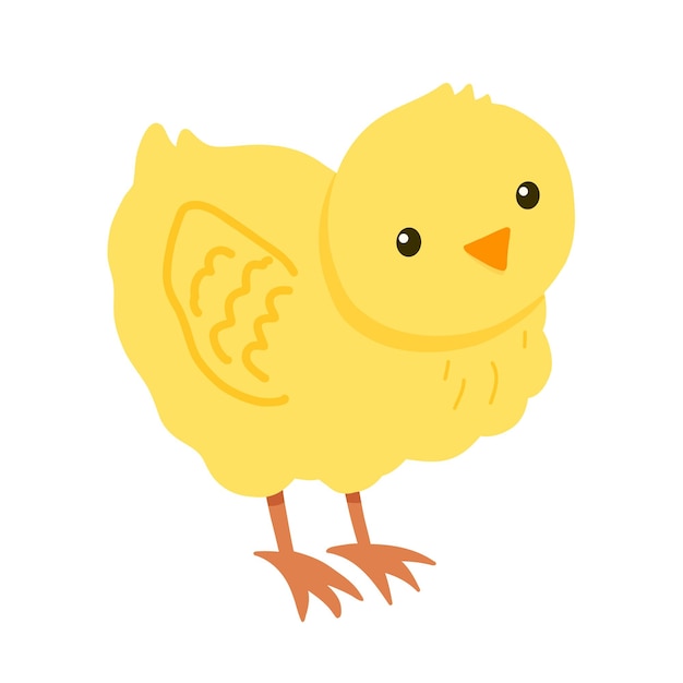 Cute yellow chick isolated on white background Baby vector flat illustration with farm bird