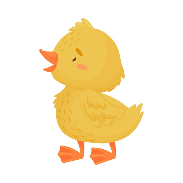 Cute yellow duckling is standing vector illustration on a white background