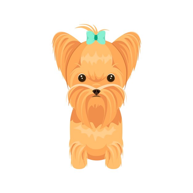 Vector cute yorkshire terrier puppy on a white background cartoon design