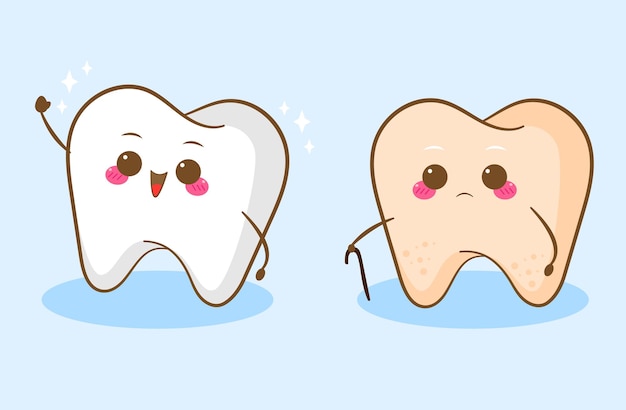 Cute young and old tooth cartoon character