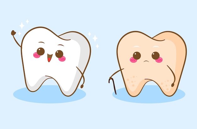 cute young and old tooth cartoon character