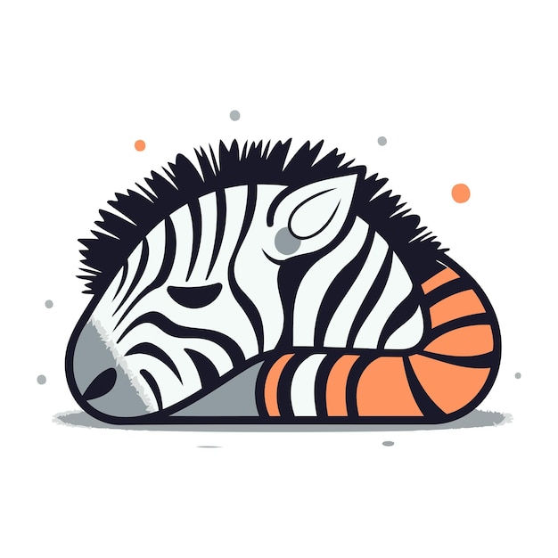 Cute zebra Vector illustration Isolated on white background