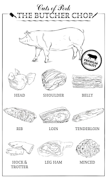 고기 세트의 돼지 고기 컷의 돼지 고기 다이어그램 부분의 컷. 포스터 정육점 다이어그램 빈티지 인쇄 상의 Handdrawn입니다. 화이트에 벡터 일러스트 레이 션