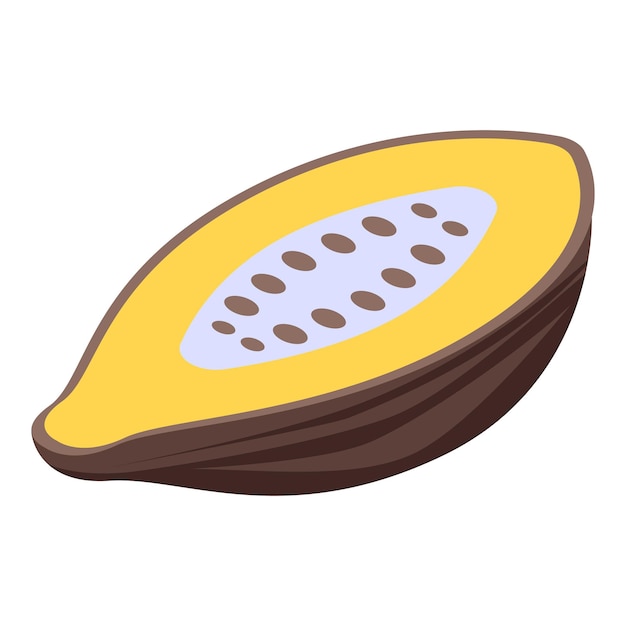 Cutted cocoa fruit icon Isometric of cutted cocoa fruit vector icon for web design isolated on white background