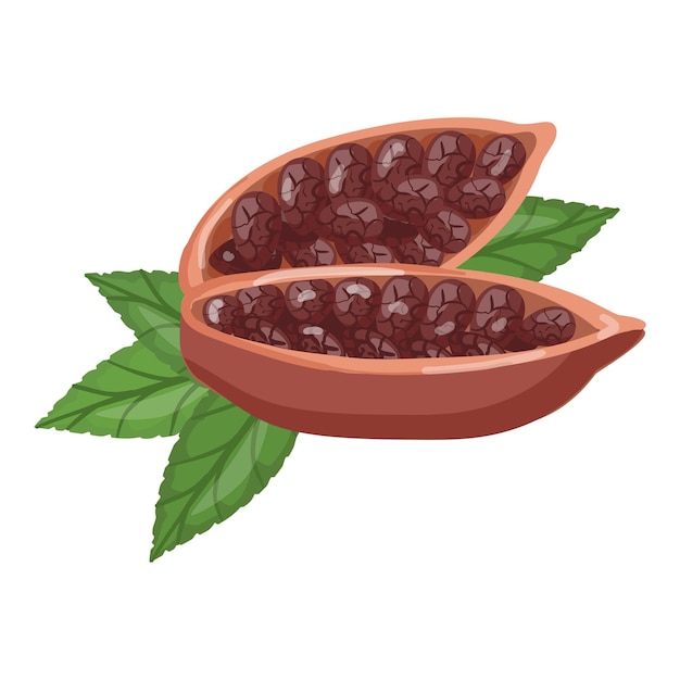 Vector cutted organic fruit cacao icon cartoon vector cocoa bean plant tree