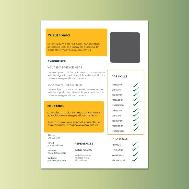 Vector cv design