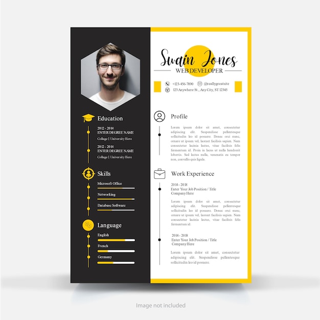 Vector cv template