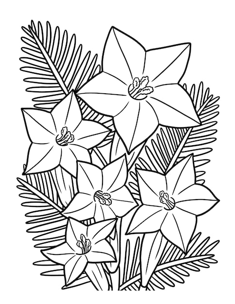 Vector cypress flower coloring page for adults