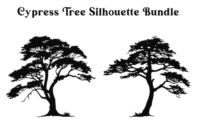 Cypress Tree Silhouettes bundle Set of trees Trees Vector silhouette Clipart